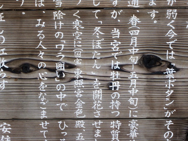 Kanji depicting Winter Peonies at the Ueno Toshogu Peony Garden in Tokyo