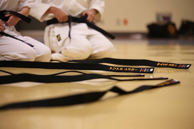 Two people in karate uniforms kneeling on a dojo floor with black belts on the floor