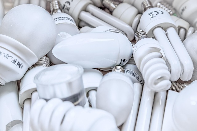 lightbulbs scattered around