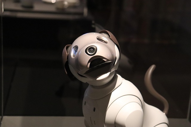 White and grey robot dog next to a window